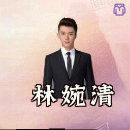 林婉清